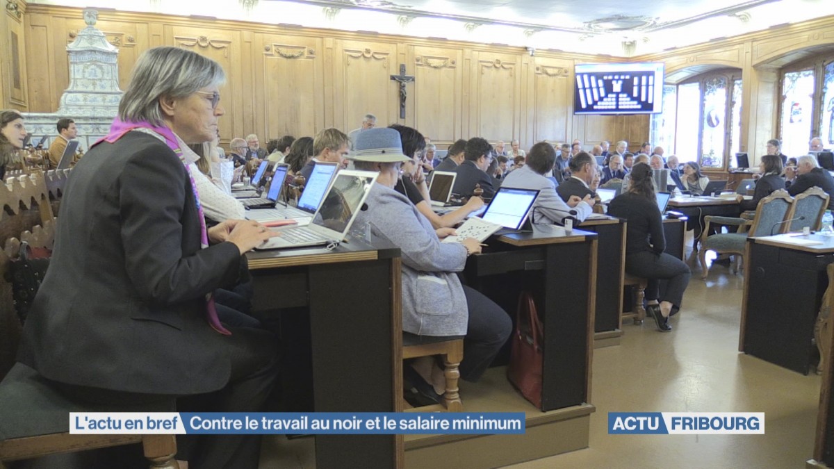 Contre le salaire minimum et le travail au noir