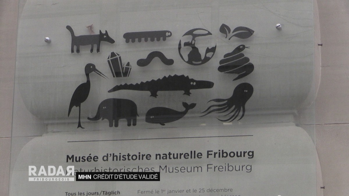 Crédit d'étude validé pour le MHN