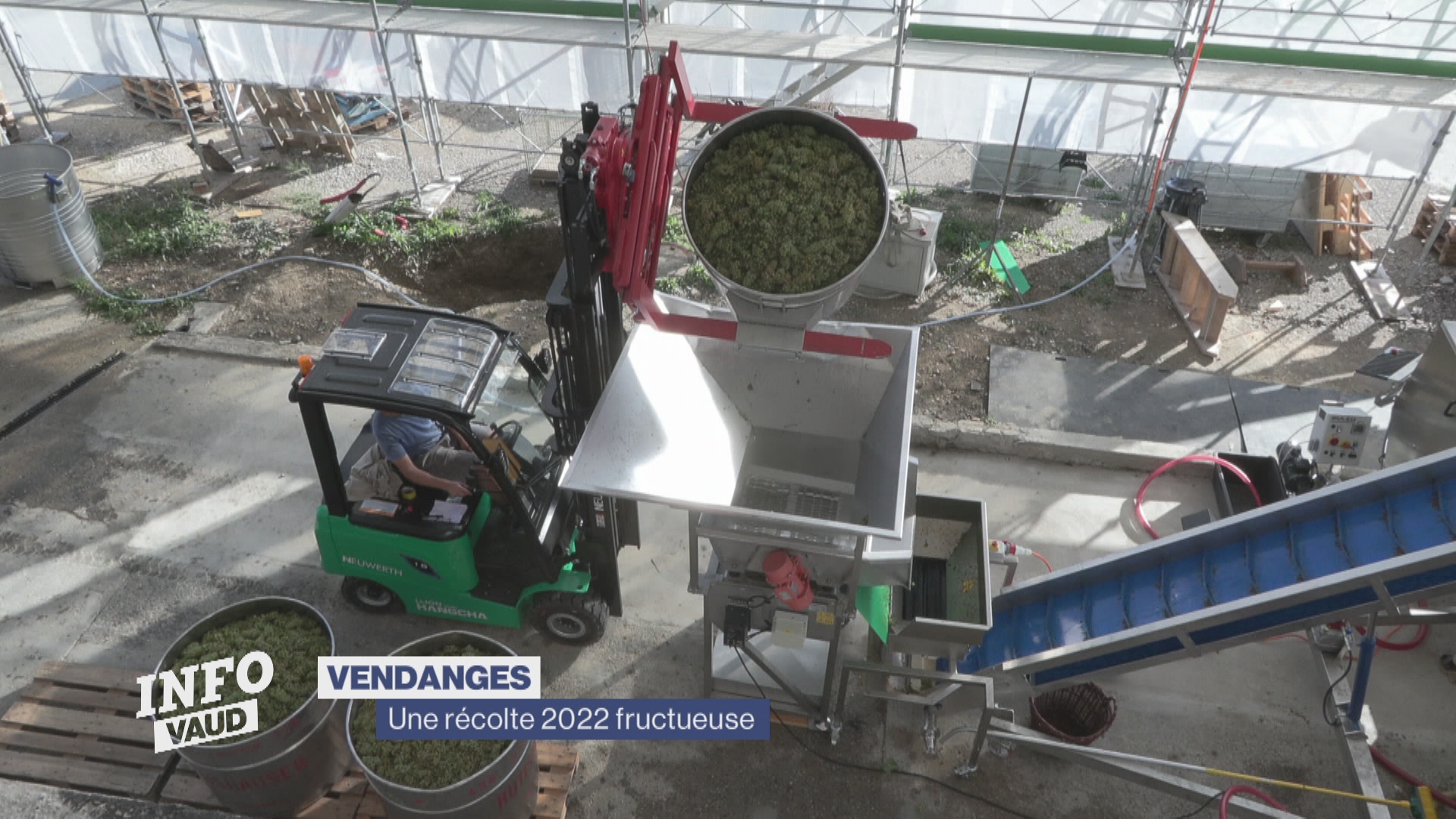 Les vendanges 2022 sont de bon augure