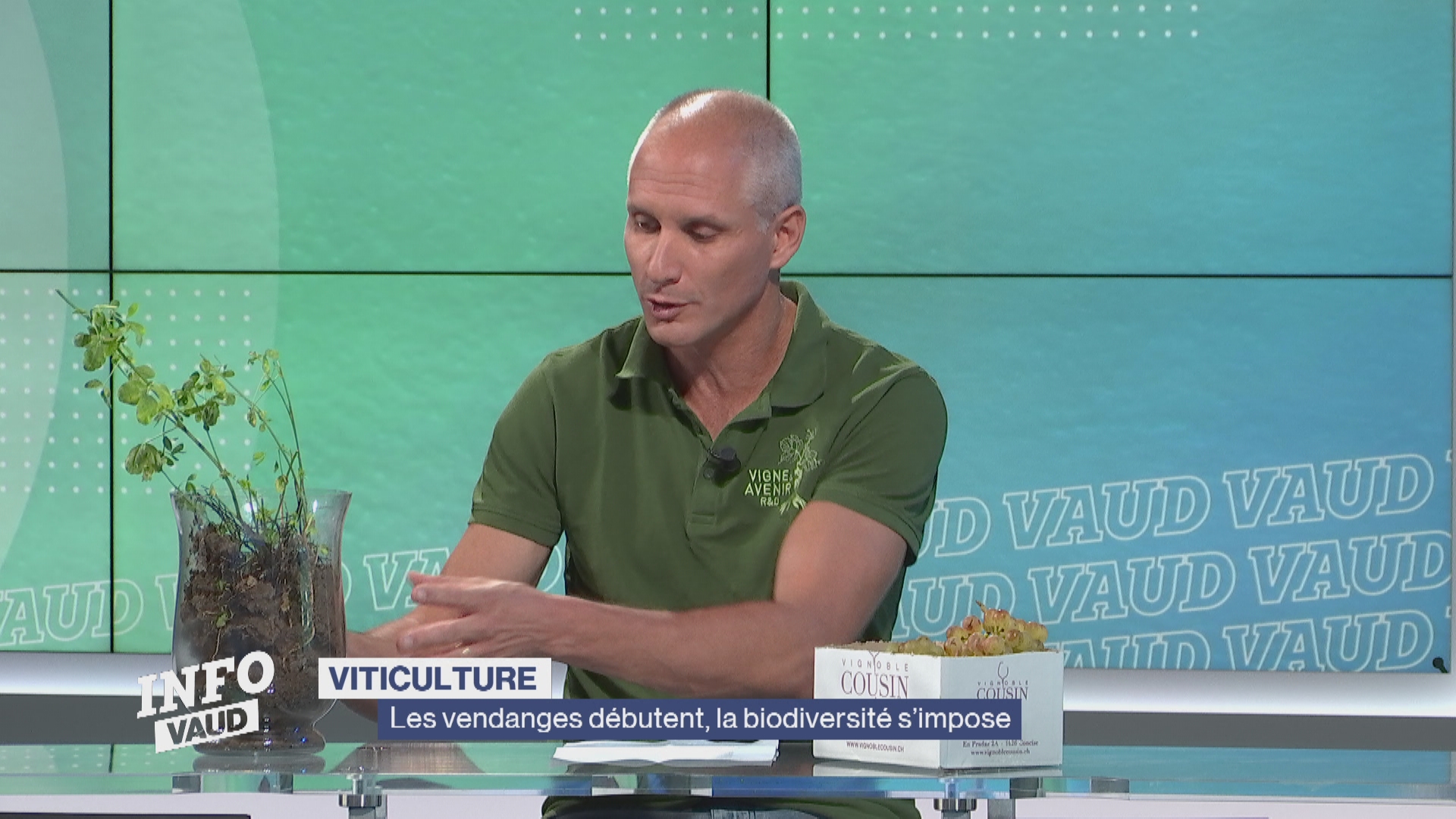 Les vendanges débutent, la biodiversité s’impose